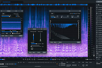 professionally clean your audio