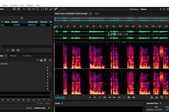 clean and add audio effects using adobe audition