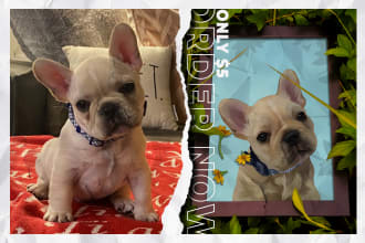 draw your pet to realistic vector illustration