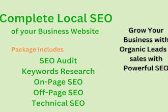 local SEO, website audit, dumpster rental expert, general contractor, business
