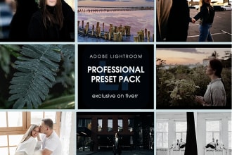 deliver professional and creative preset pack for reselling