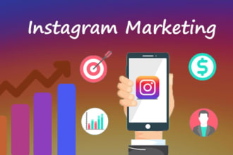 do super fast instagram organic growth and promotion for fashion, gaming page