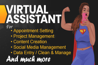 be your executive virtual assistant