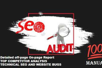 provide professional SEO audit reports and longterm action plans for websites