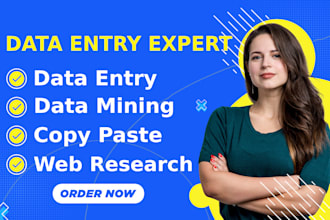 do accurate data entry, online research, typing and copy paste job