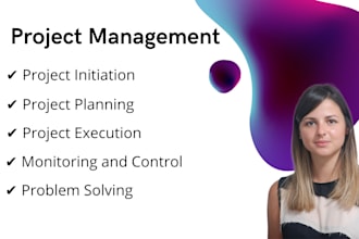 provide project management services