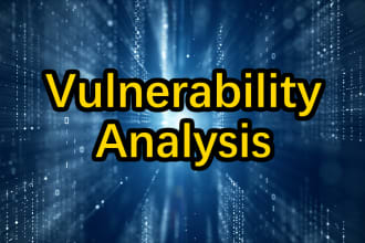 perform a vulnerability analysis on your website or web application