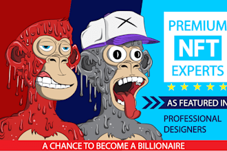 create up to 10k nft collections with code generator with your art