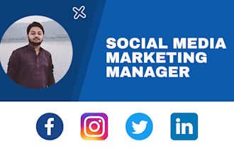 be your professional social media manager for facebook instagram and linkedin