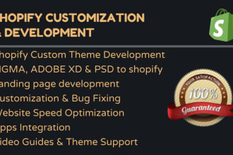 build a professional shopify website for your business and fix shopify bugs