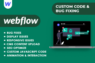 fix webflow bugs, issues, animations, responsive layout, and cms problems