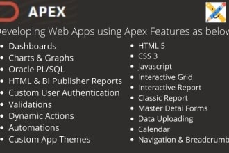 develop and customize oracle apex web application for you