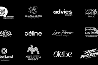 create a branding guidlines and logo