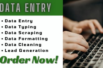 do data entry, web scraping, excel, typing, copy paste work