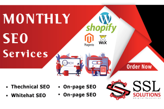 monthly SEO service with permanent high da backlinks