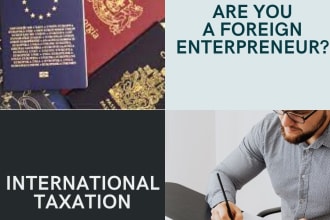 provide tax guidance for foreign investors interested in the US