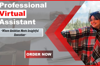 be your professional virtual assistant for data entry
