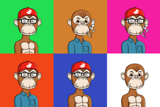 create cartoon nft design and the accessories