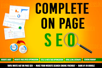 do professional on page SEO for google ranking