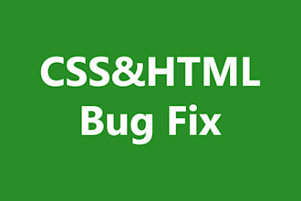 fix website errors within 24h