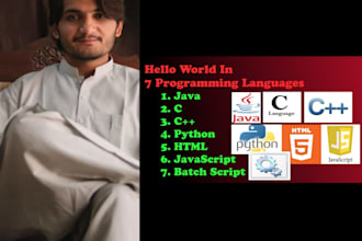 help you c, cpp, java and python programming projects