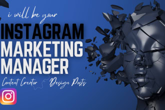 be your instagram marketing manager and content creator