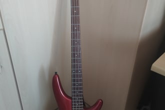 play bass for your death,thrash,black,doom and heavy metal songs