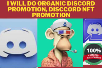 do organic discord promotion, discord server promotion, discord nft pr0motion