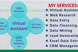 be virtual assistant for data entry and admin support