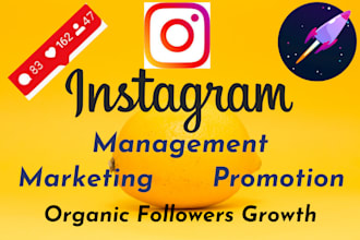 do instagram marketing or promotion for super fast organic growth