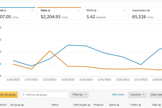 be your amazon account manager, amazon fba expert