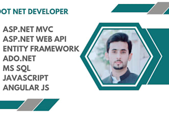 develop asp net or asp net mvc applications with angular
