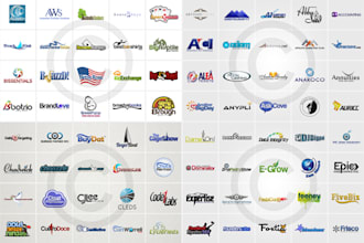 make a simple and nice logo design