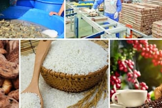 look for manufacturers, suppliers in vietnam