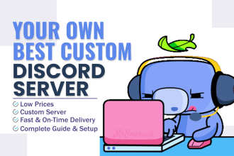 setup or modify your own discord server professionally