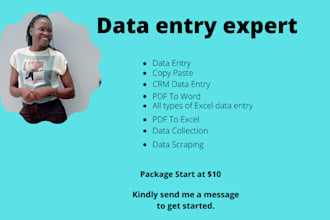 do data entry and copy paste job