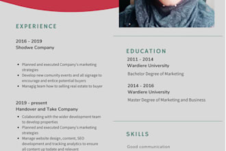 provide professional resume writing and cv designing services