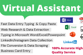 be your virtual assistant for data entry, fast typing, web research, copy paste