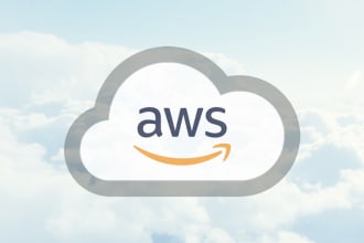 help you with support and maintenance of AWS amazon