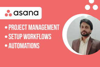 be your asana virtual assistant, asana project management,asana crm expert
