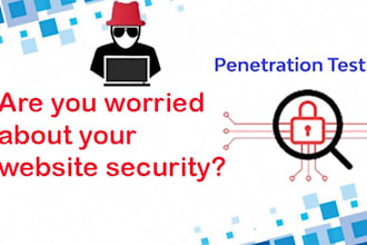 professionally provide website  penetration testing  with manual report