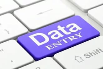 do excel data entry, copy paste