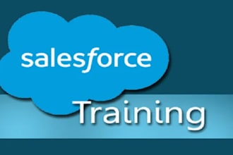 teach you salesforce, apex development and customization