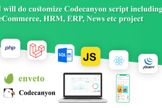 do customize codecanyon script including ecommerce, hrm, erp, news etc project