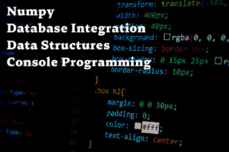 do any type of python project or task