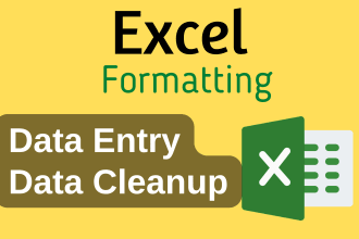 do excel data entry, data cleaning