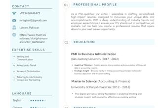write a professional CV resume for you