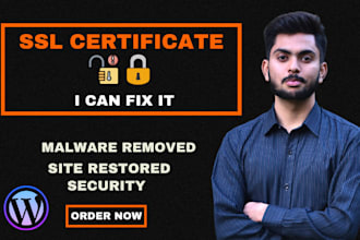 fix and secure a wordpress website, SSL certificate
