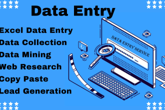 do fast  data entry web research copy paste product listing