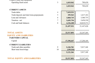 provide financial statements, ratio analysis and accounting
